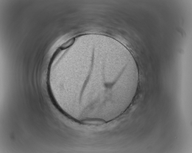 X0000113310007200910131117