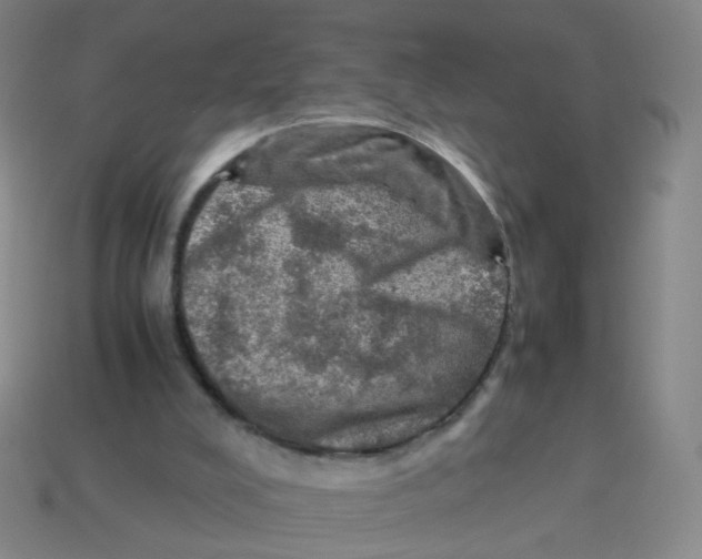 X0000113310008200910131117