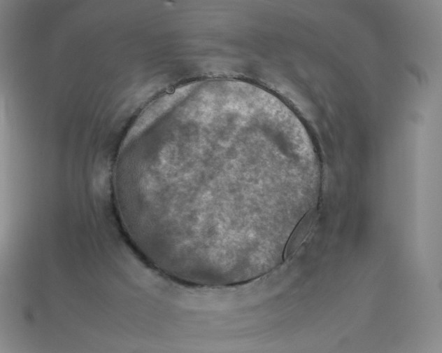 X0000113310009200910131117