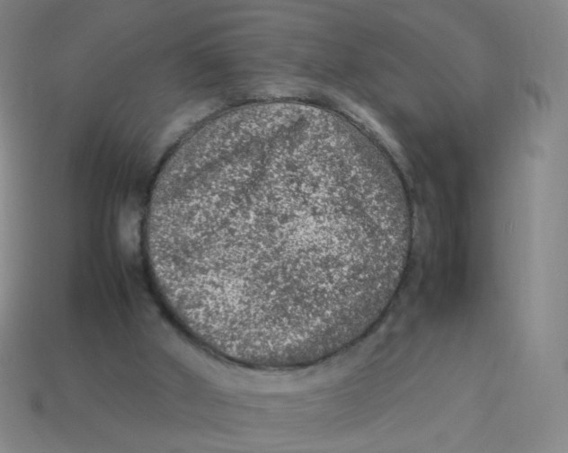 X0000113310010200910131117
