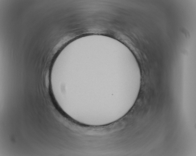 X0000113310011200910131117