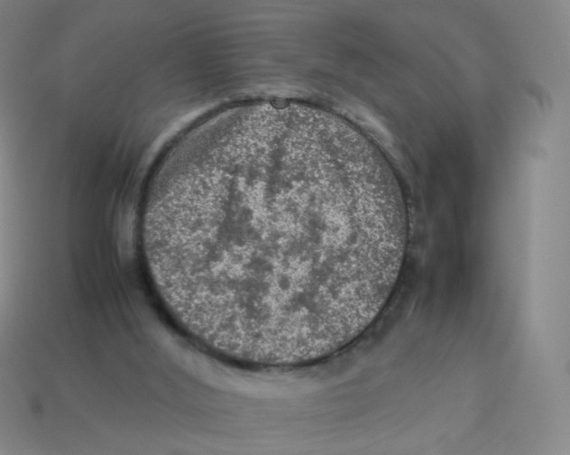 X0000113310012200910131117