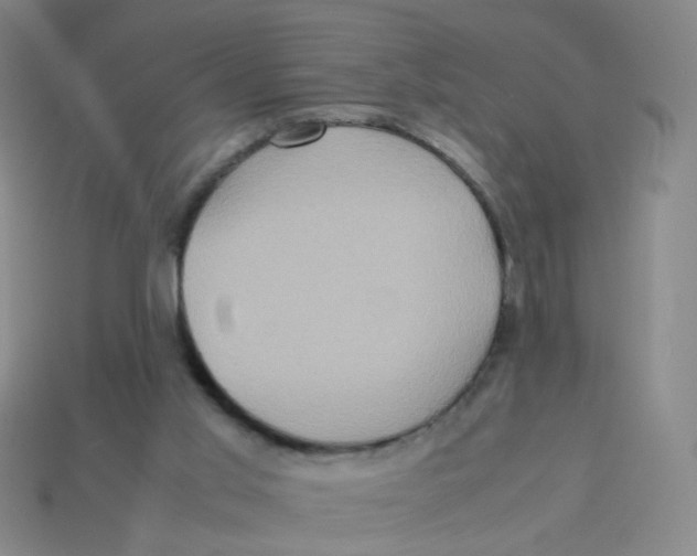 X0000113310013200910131117