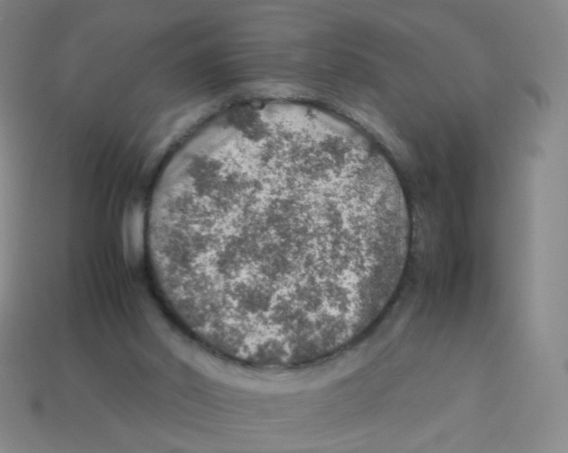 X0000113310014200910131117