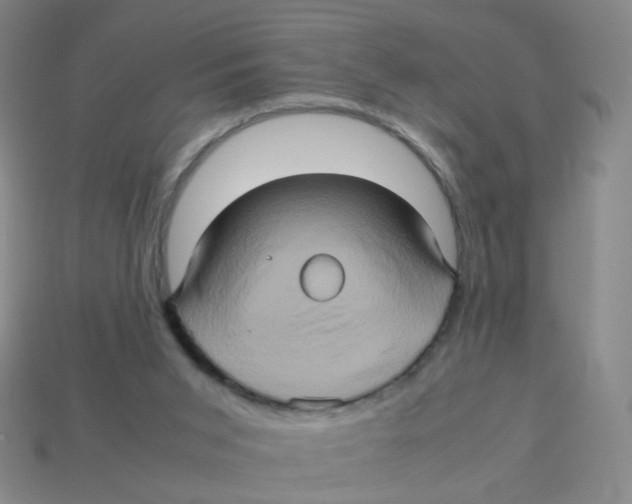 X0000113310015200910131117