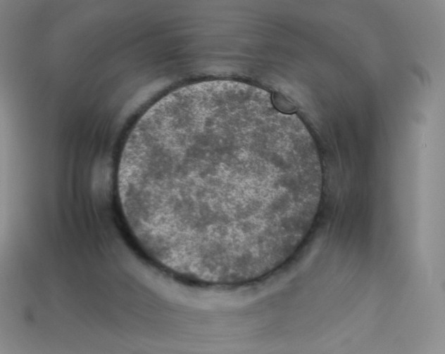 X0000113310016200910131117