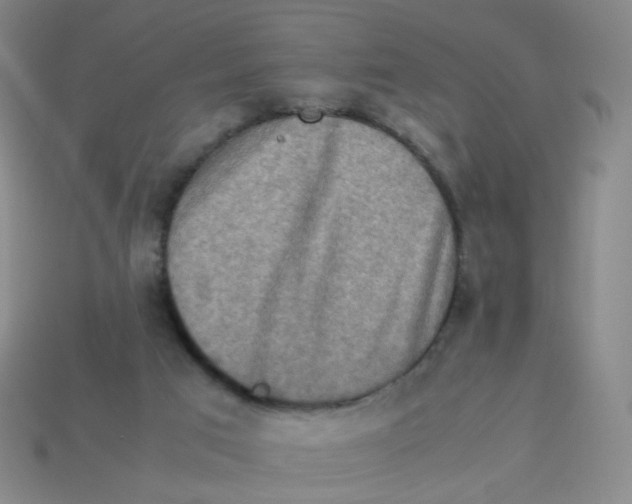 X0000113310017200910131117