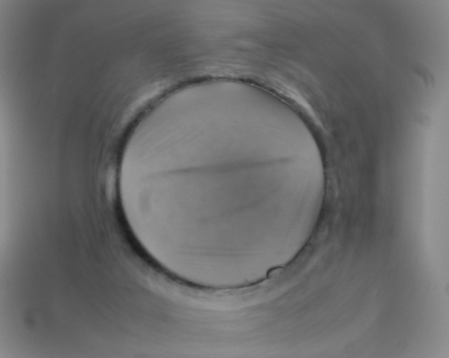 X0000113310019200910131117