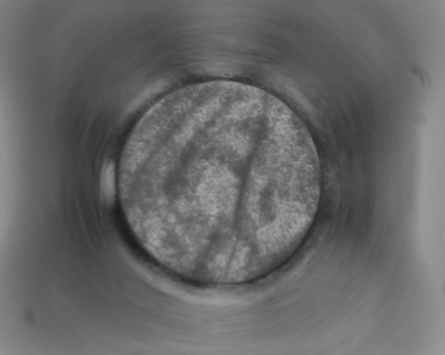 X0000113310020200910131117