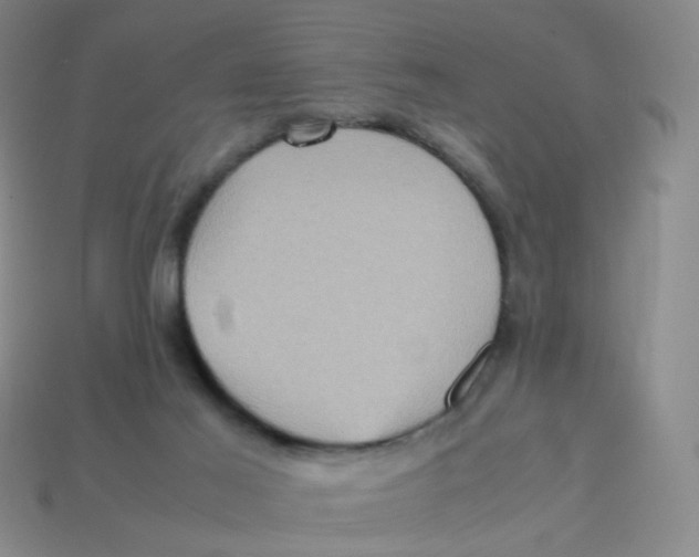 X0000113310021200910131117