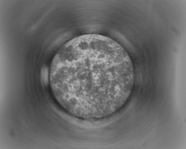 X0000113310022200910131117
