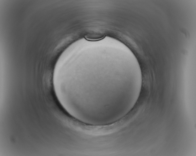 X0000113310023200910131117