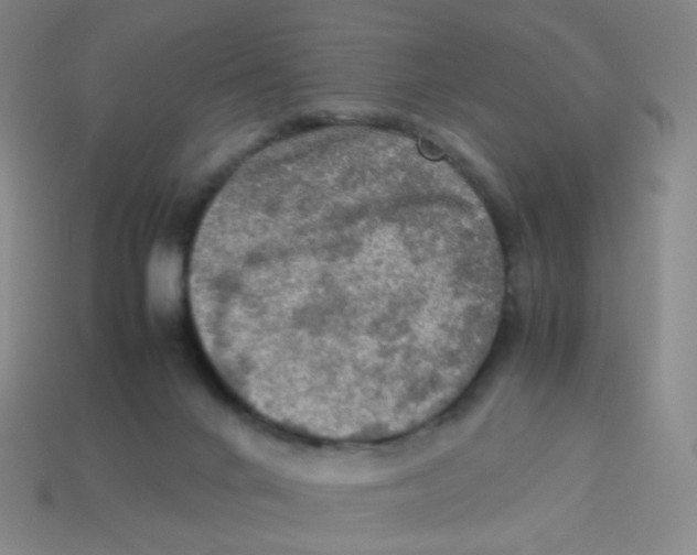 X0000113310024200910131117