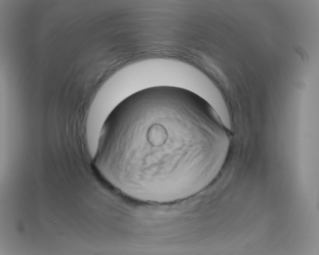 X0000113310025200910131117