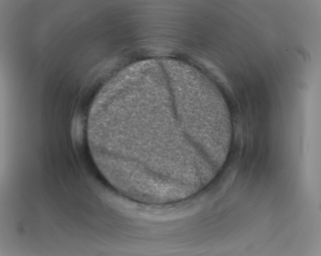 X0000113310026200910131117