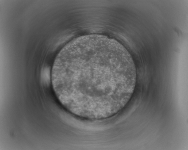 X0000113310028200910131117
