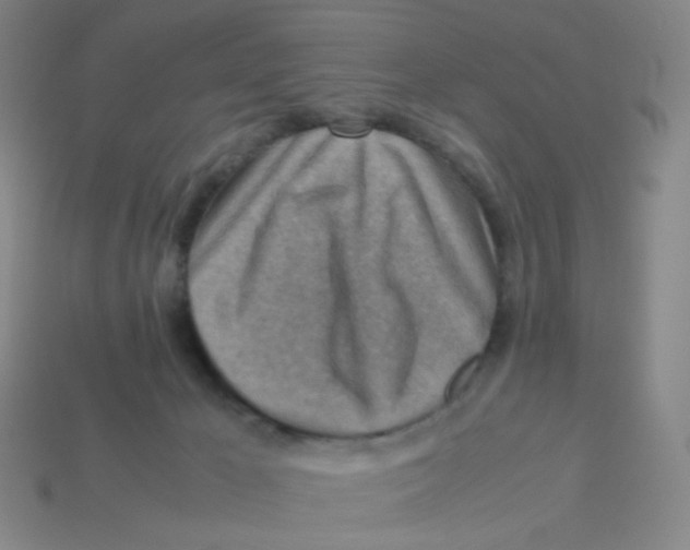 X0000113310029200910131117