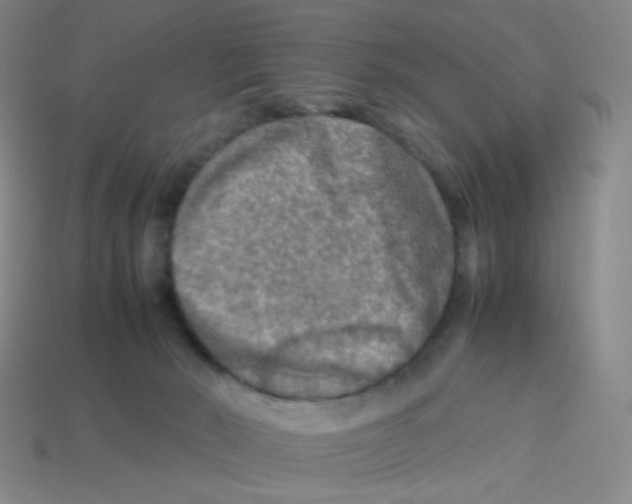 X0000113310030200910131117