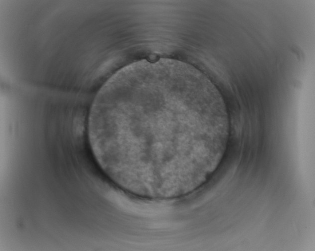 X0000113310032200910131117