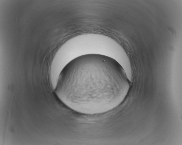X0000113310033200910131117