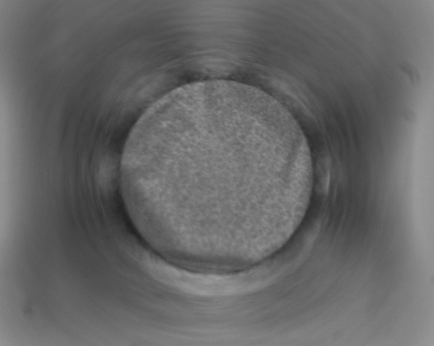 X0000113310034200910131117