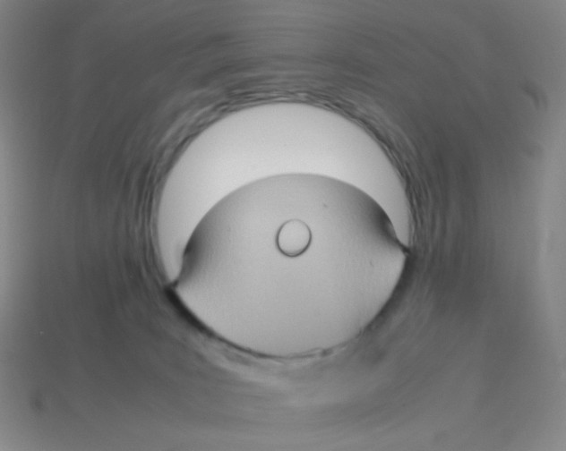 X0000113310035200910131117