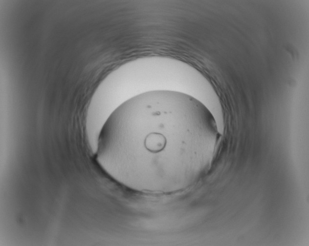 X0000113310037200910131117