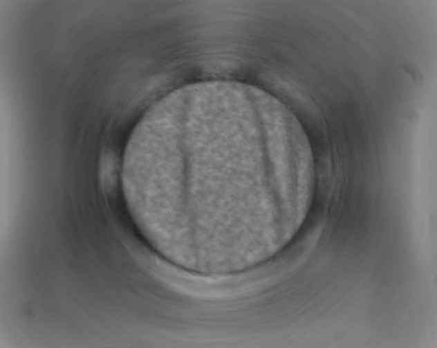 X0000113310038200910131117