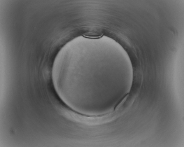 X0000113310039200910131117