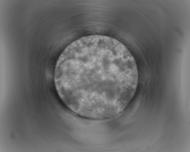 X0000113310040200910131117