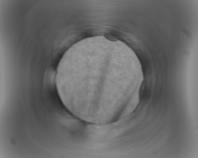 X0000113310041200910131117