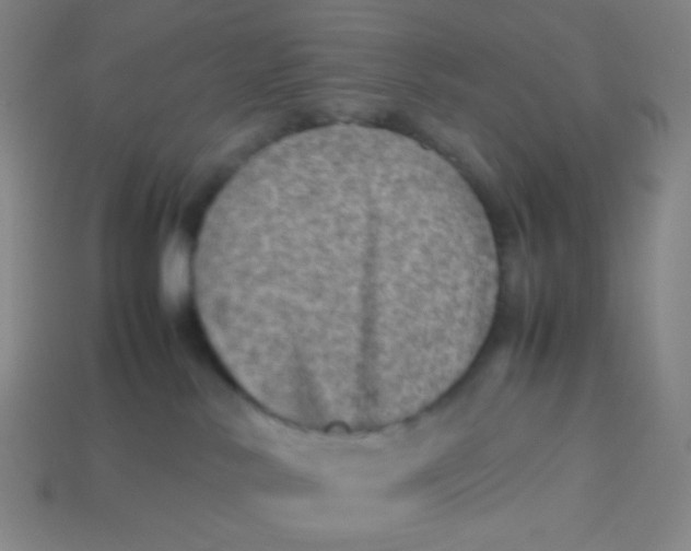 X0000113310042200910131117