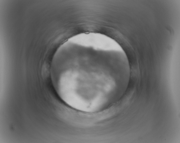 X0000113310043200910131117