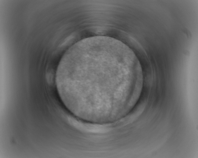 X0000113310044200910131117