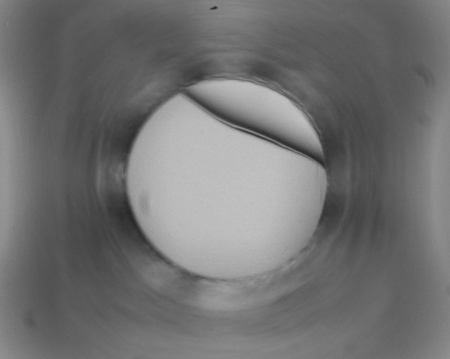 X0000113310045200910131117