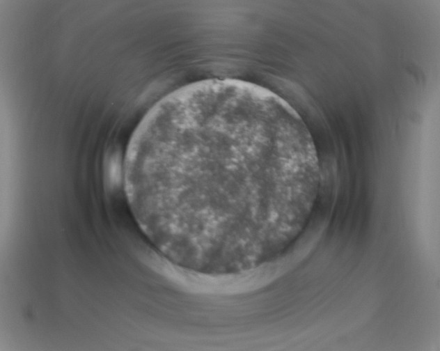 X0000113310046200910131117