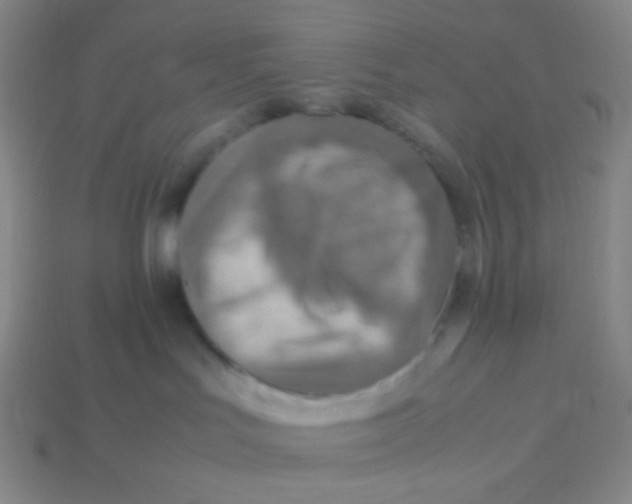 X0000113310047200910131117