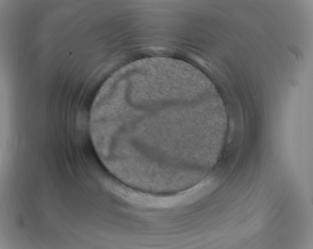 X0000113310048200910131116