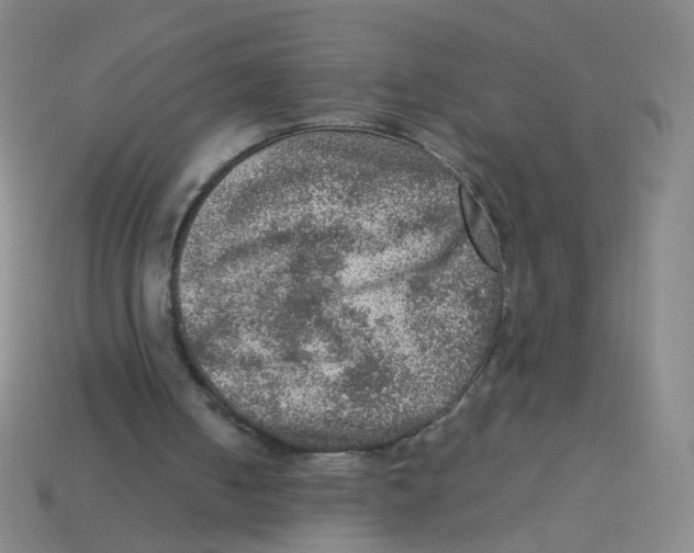 X0000113310050200910131116