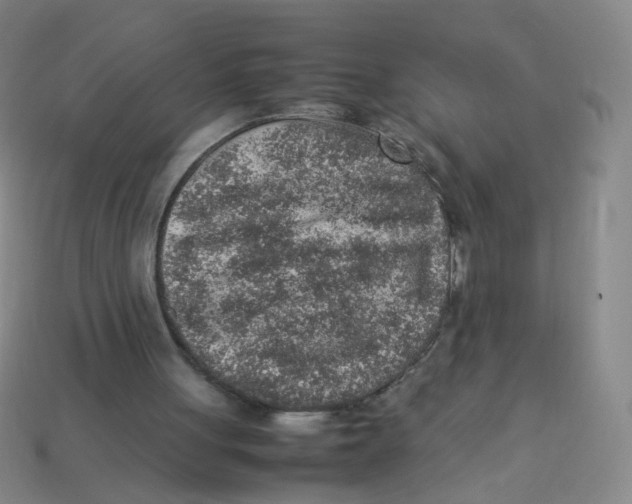 X0000113310051200910131116
