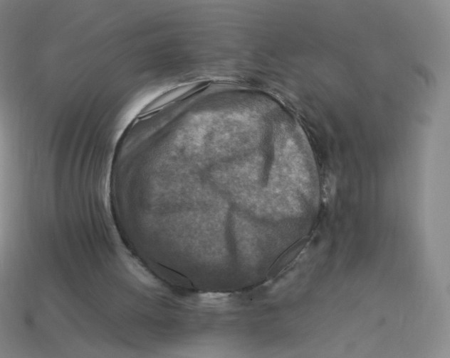 X0000113310052200910131116