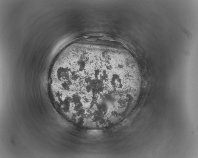X0000113310053200910131116