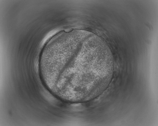 X0000113310054200910131116