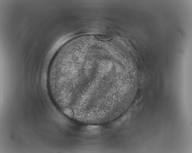 X0000113310055200910131116