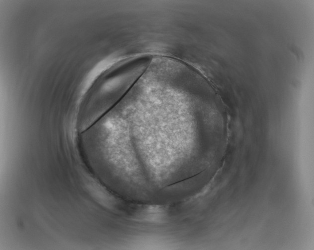 X0000113310056200910131116