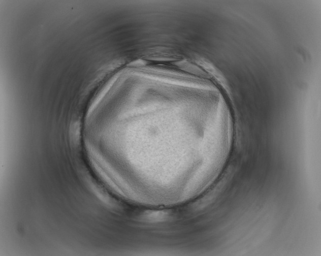 X0000113310057200910131116