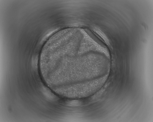 X0000113310058200910131116