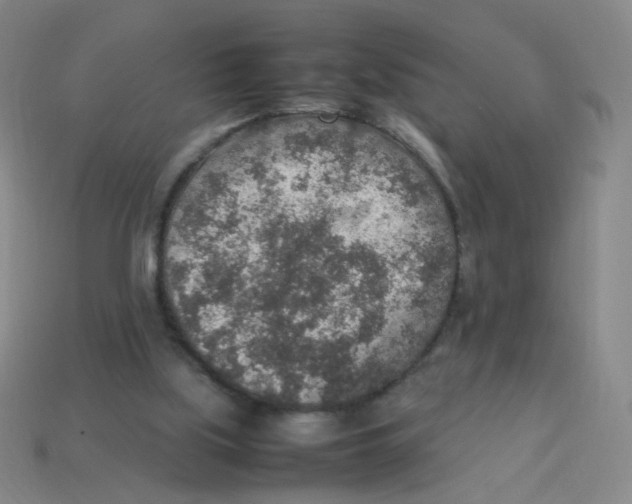 X0000113310059200910131116