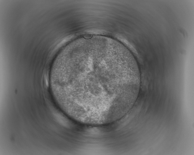 X0000113310062200910131116