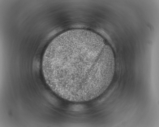 X0000113310063200910131116
